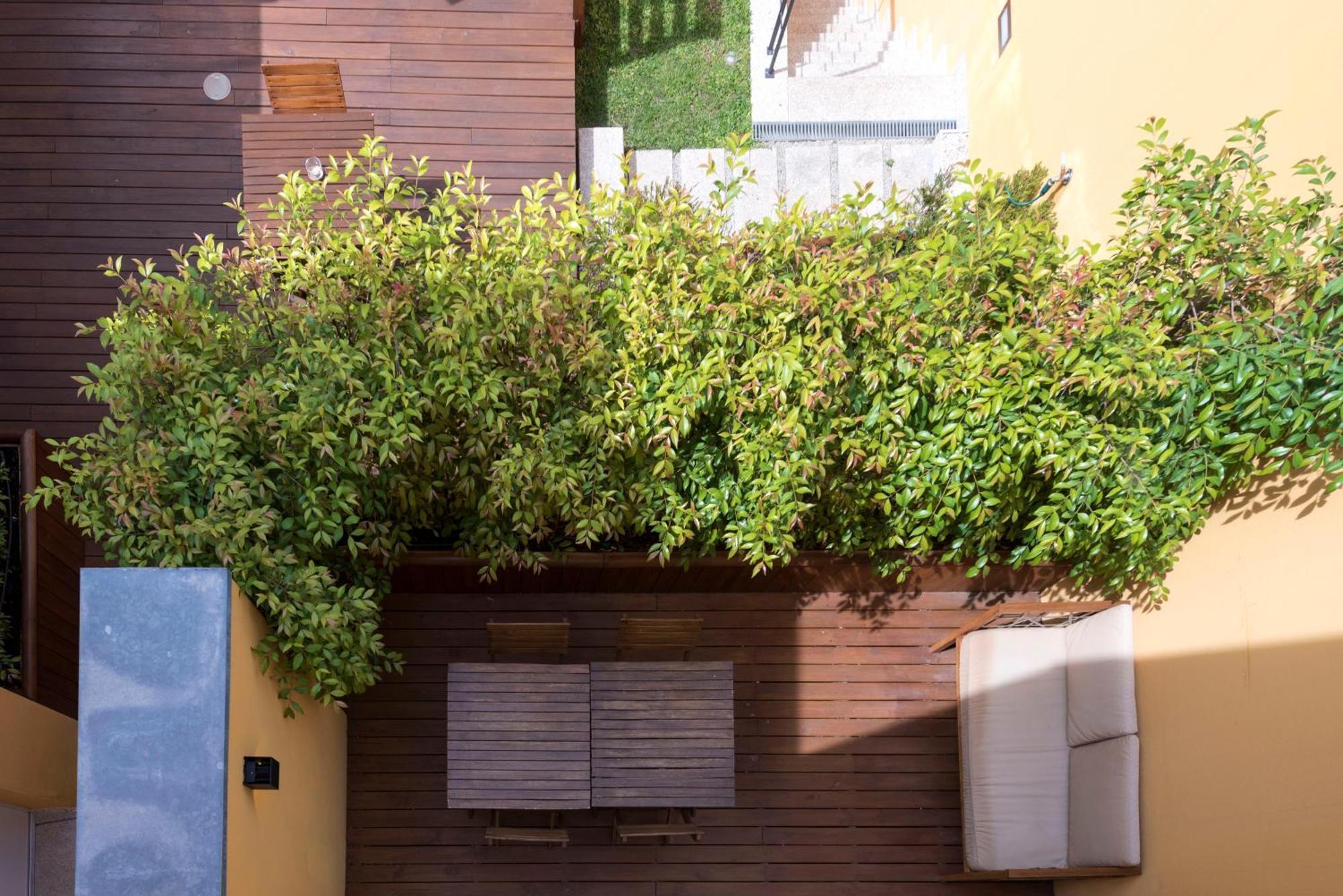 Bloom House By Sweet Porto Lägenhet Rum bild